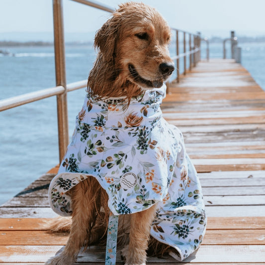 Evergreen Dog Robe - Evergreen