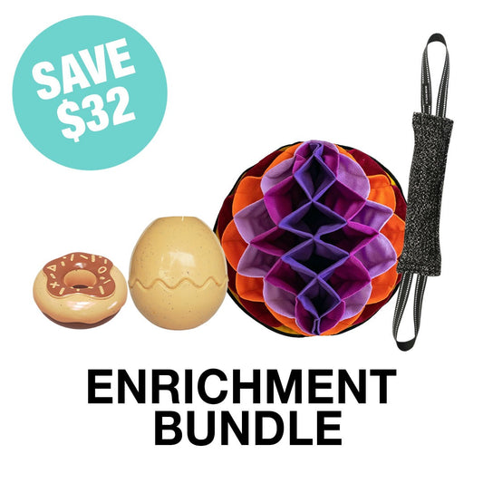 Enrichment Bundle