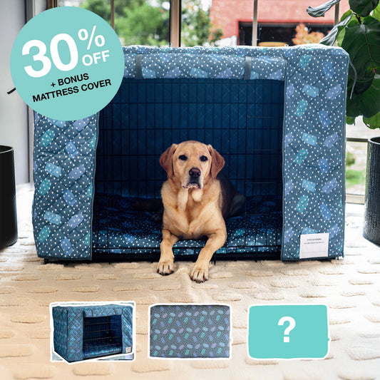 Outlet Crate Bundle - Geo