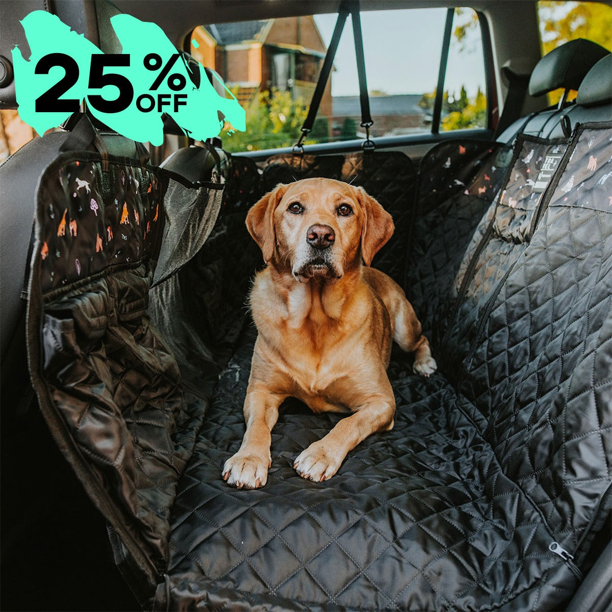 Back Seat Cover with Travel Bag