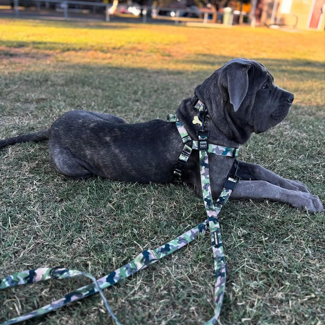 On Duty Multi-Function Leash - On Duty