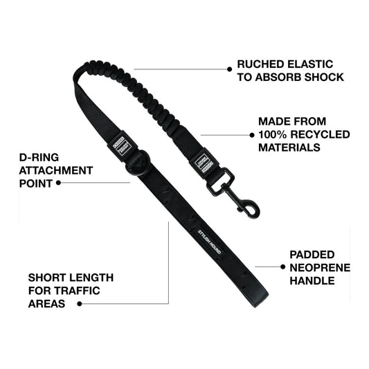 Cruise Control Obedience Leash