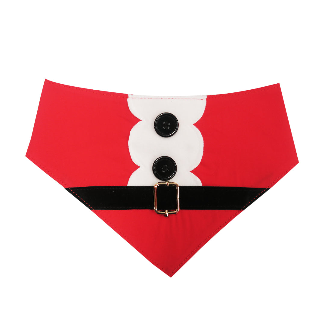 Christmas Bandana + Santa Puzzle + Chillie Bag + Dino Toy