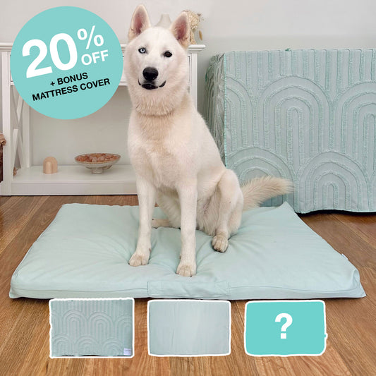 Basic Crate Bundle - Sage