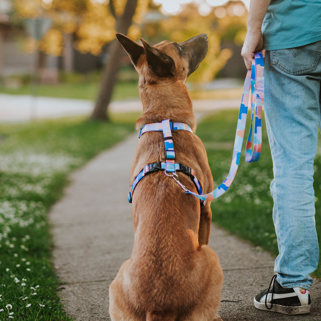 Chrome Multi-Function Leash - Chrome