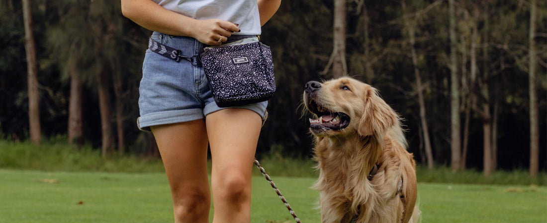 The Ultimate Dog Training Treat Pouch in Australia