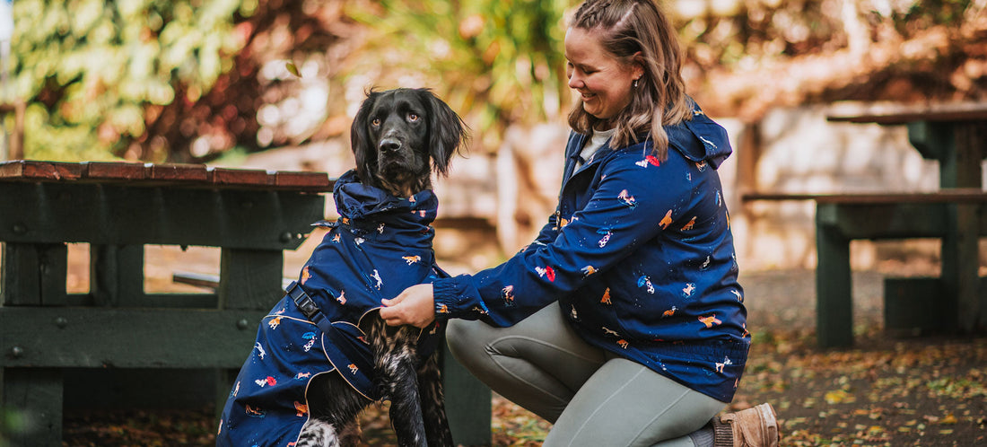 Keeping dogs warm in Winter