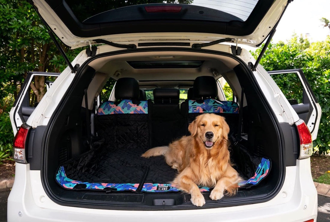 ESSENTIAL DOG ROAD TRIP TIPS