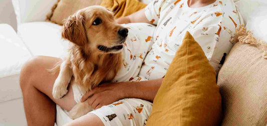 How Can I Get My Dog to Stop Licking Me?