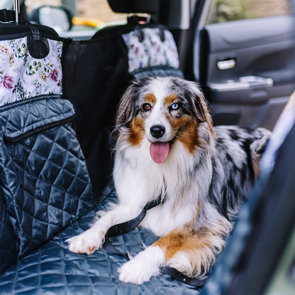 Back Seat Cover Bundle