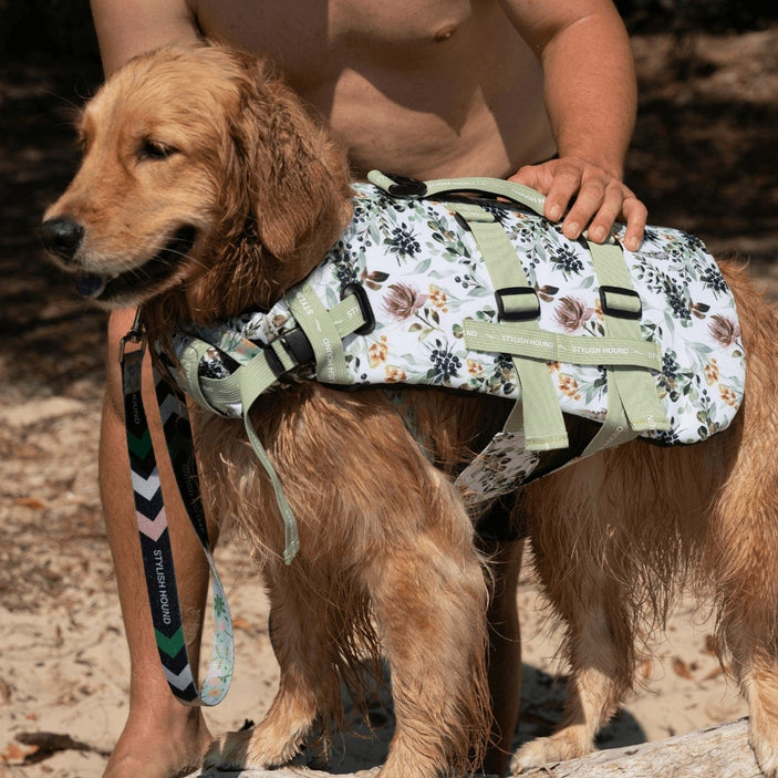 Evergreen Dog Swim Jacket