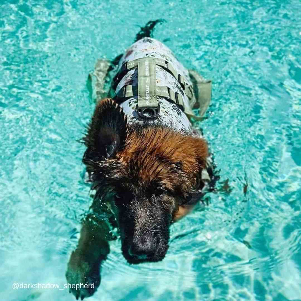 Evergreen Swim Jacket - Evergreen