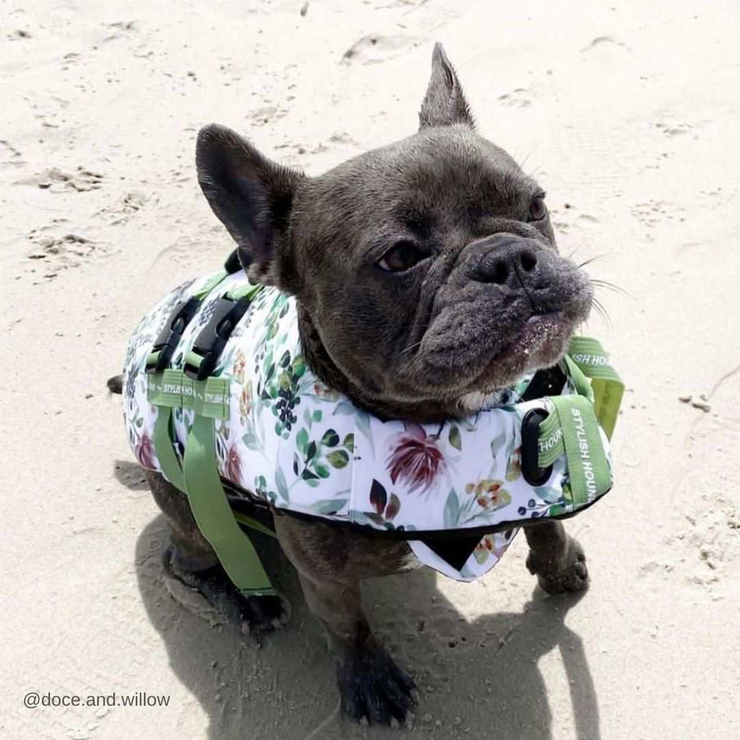 Dog Swim Jacket