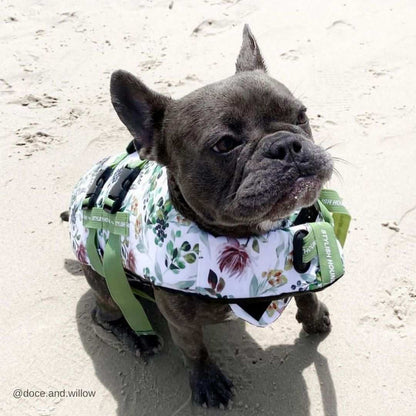 Dog Swim Jacket