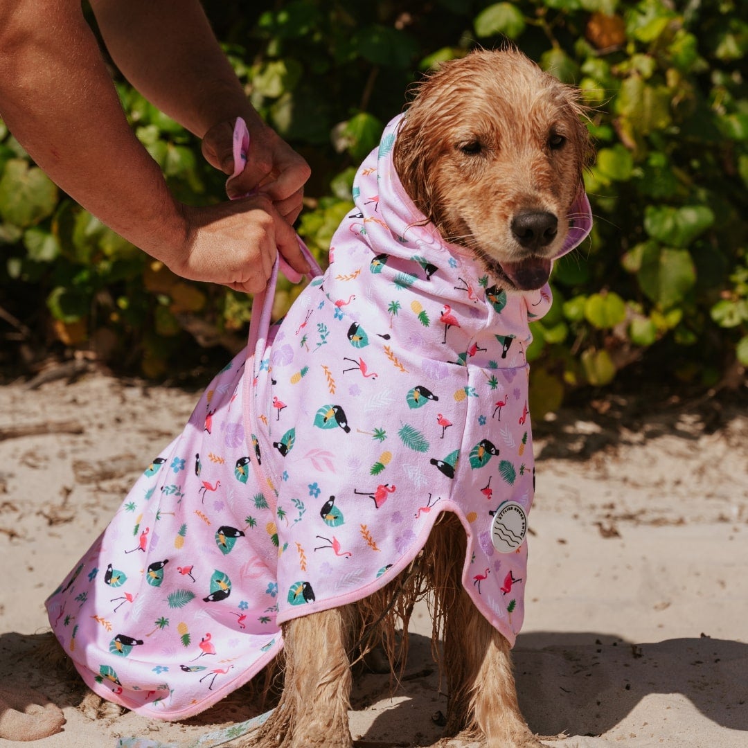 Tropical Dog Robe - Tropical