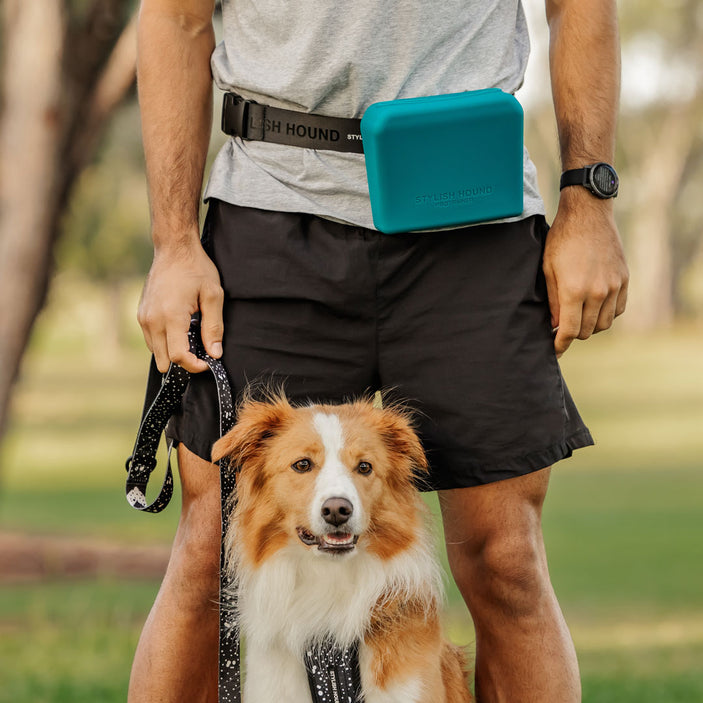 Teal Pro Trainer Silicone Pouch