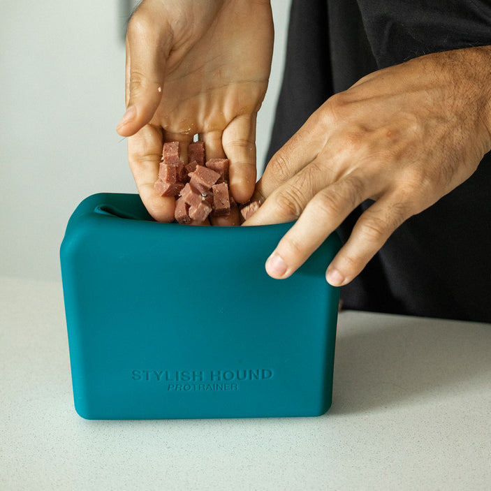 Teal Pro Trainer Silicone Pouch