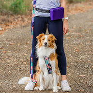 Purple Pro Trainer Silicone Pouch