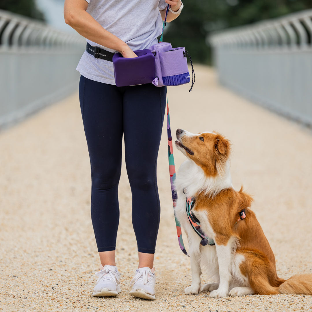 Purple Pro Trainer Silicone Pouch