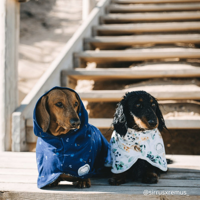 Evergreen Dog Robe