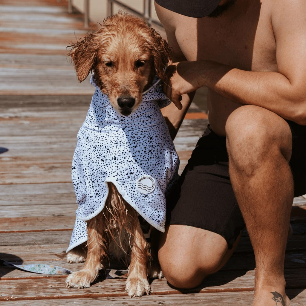 Jackson Dog Robe - Jackson