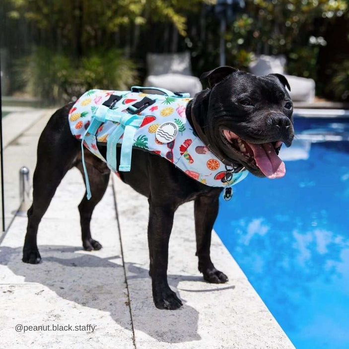 Malibu Dog Swim Jacket