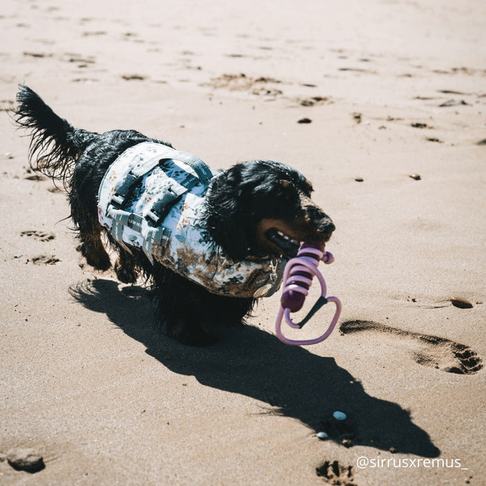 Evergreen Dog Swim Jacket