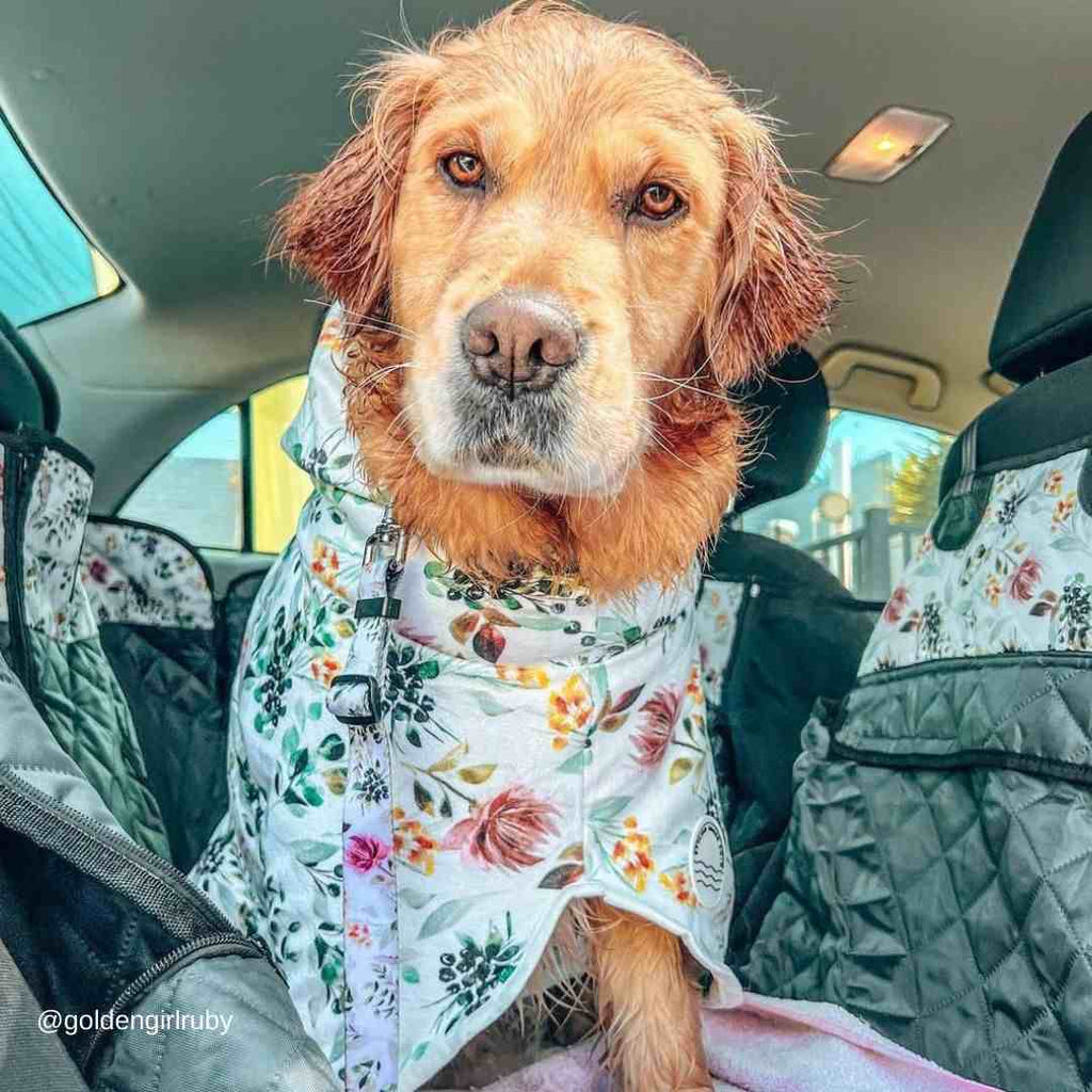 Evergreen Dog Robe - Evergreen