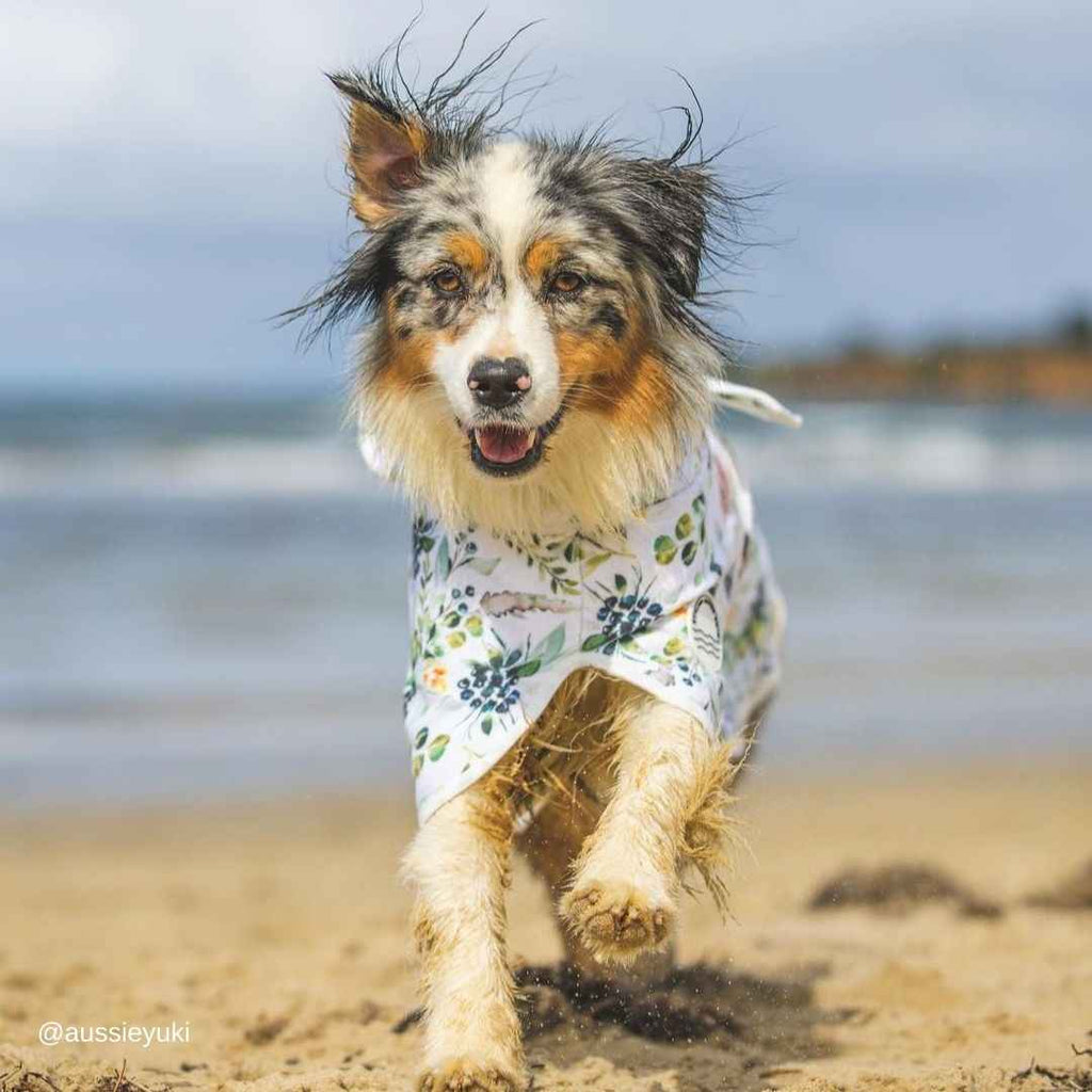 Evergreen Dog Robe - Evergreen