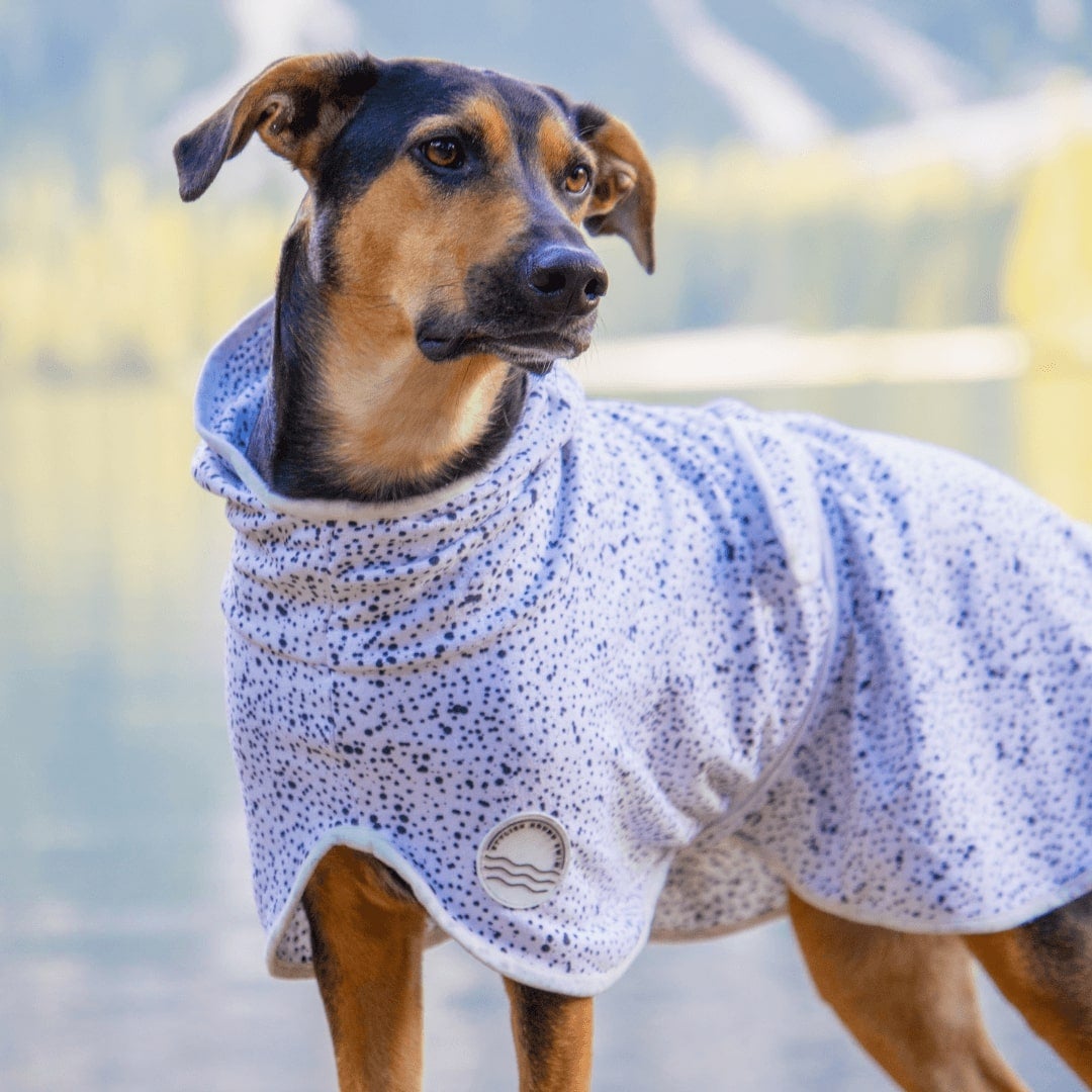 Jackson Dog Robe - Jackson