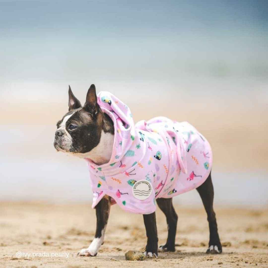 Dog Robe
