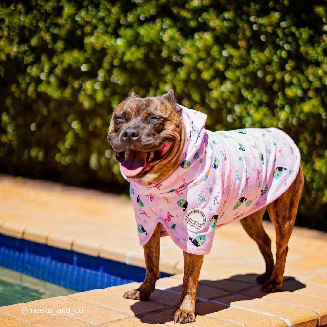 Tropical Dog Robe - Tropical