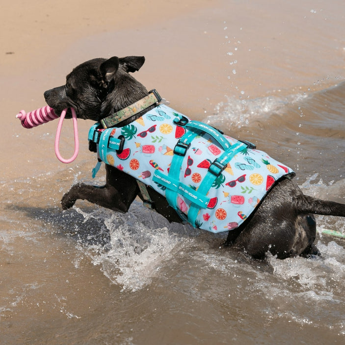 Malibu Dog Swim Jacket