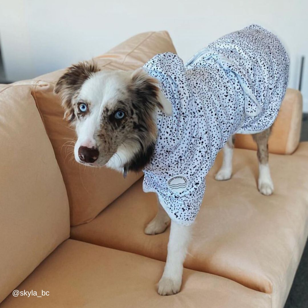 Jackson Dog Robe - Jackson