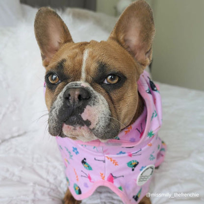 Tropical Dog Robe - Tropical