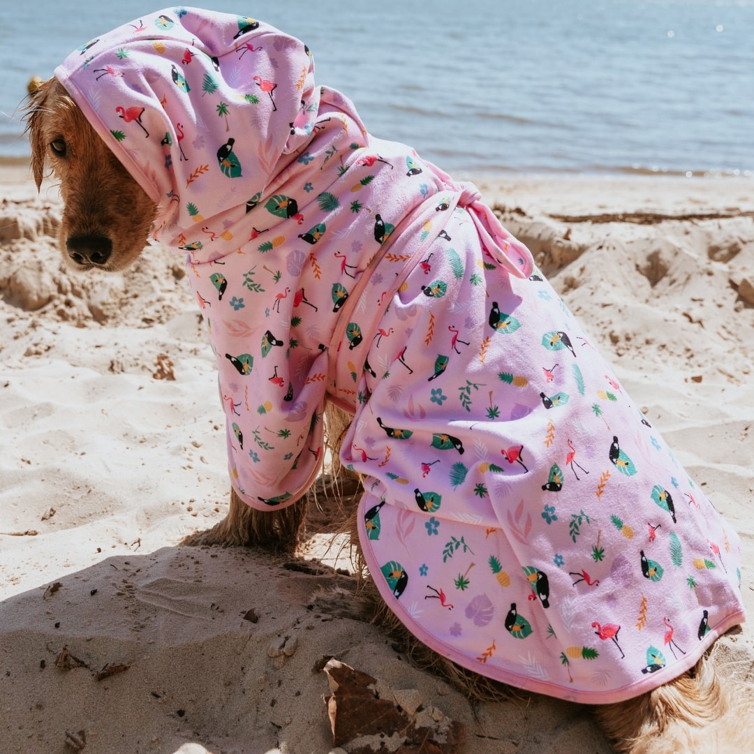 Dog Robe