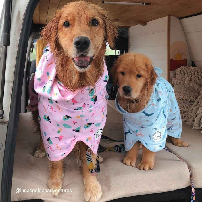 Tropical Dog Robe