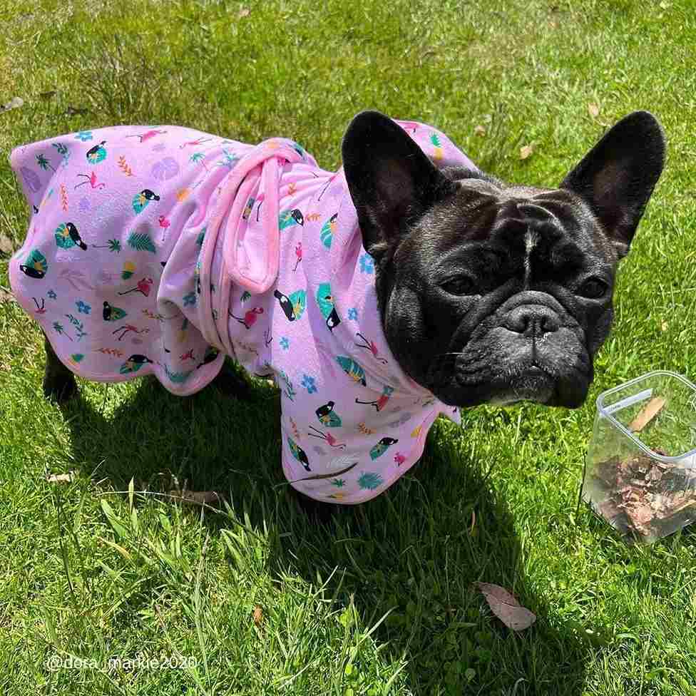 Tropical Dog Robe - Tropical