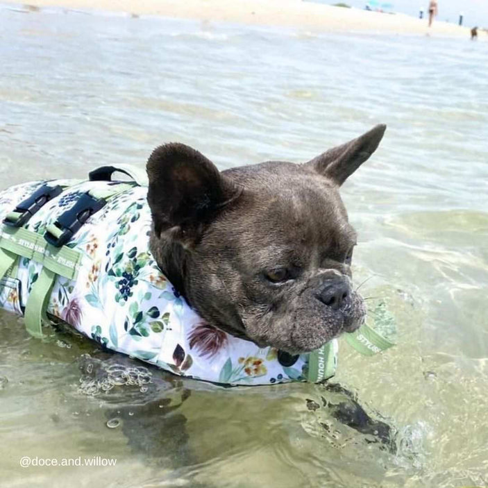 Evergreen Dog Swim Jacket