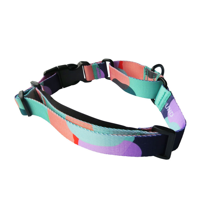 Atlas Martingale Training Collar