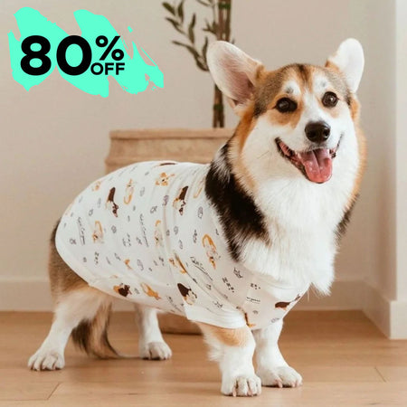 Corgi Dog Tee PJ