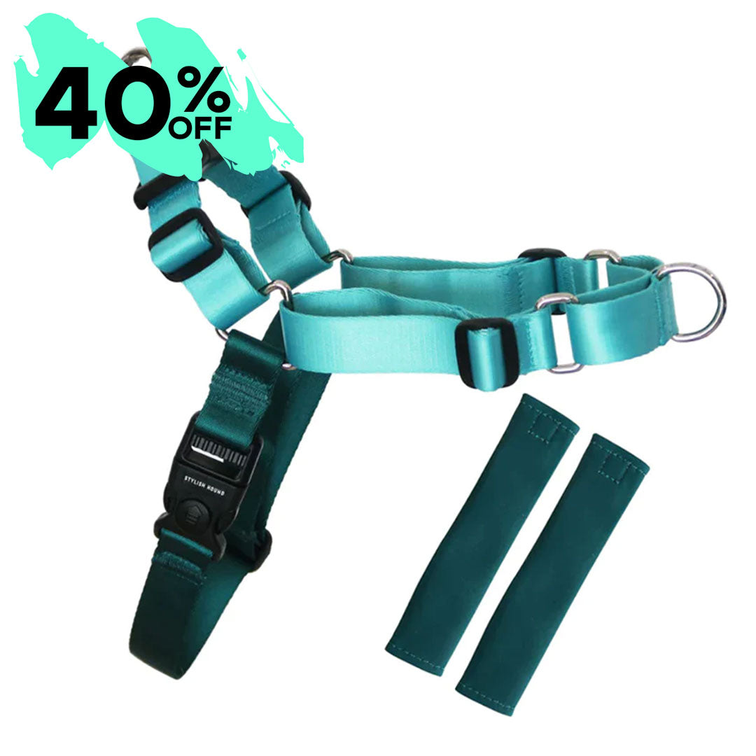 Quartz RNT No-Pull Training Harness