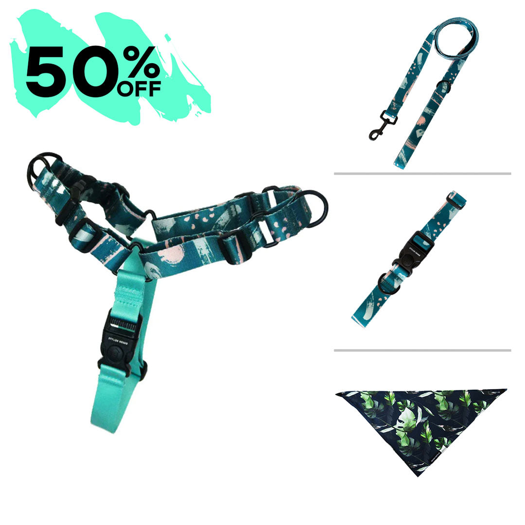 Nova Harness Bundle