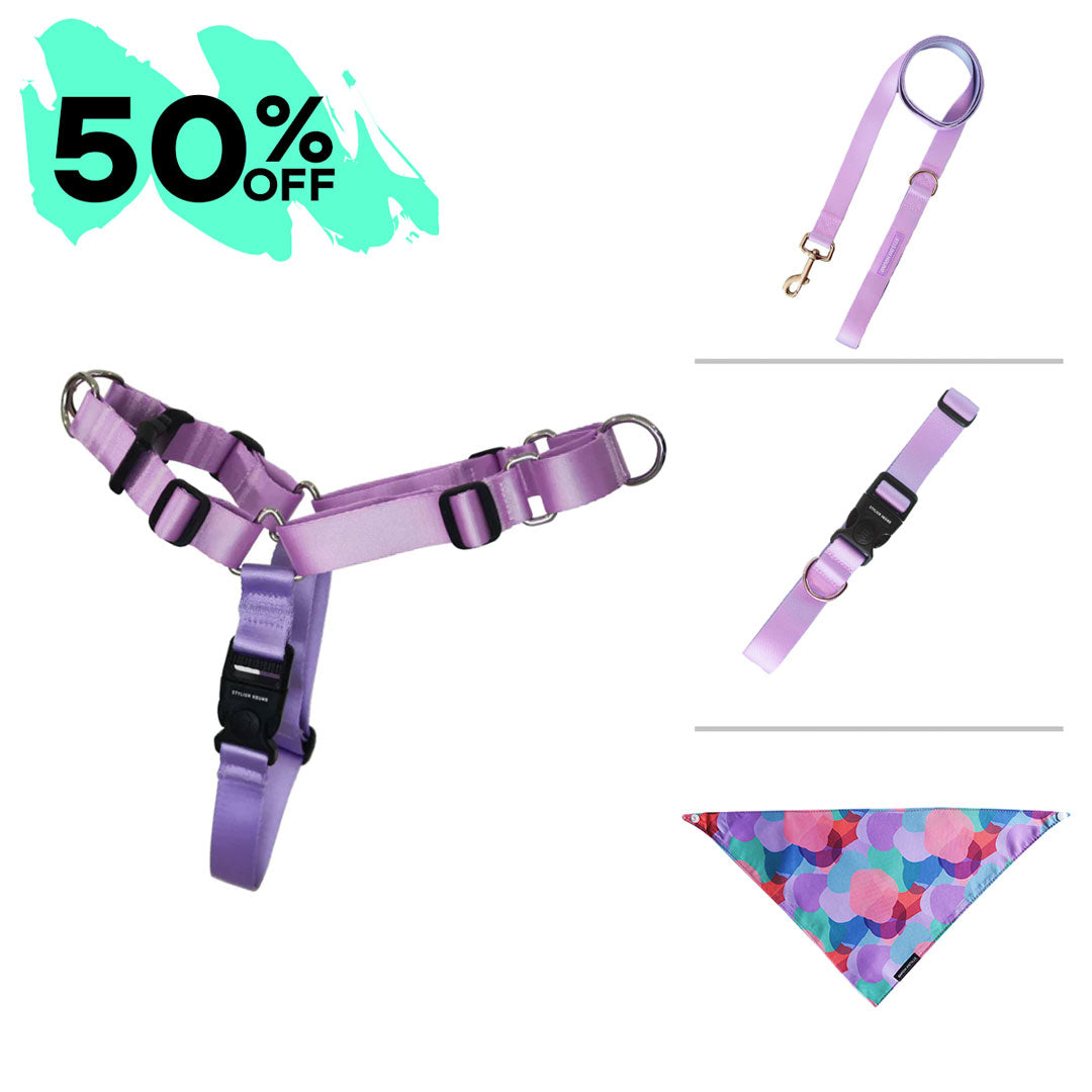 Sorbet Harness Bundle