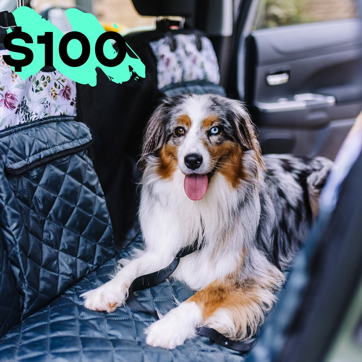 Back Seat Cover with Travel Bag