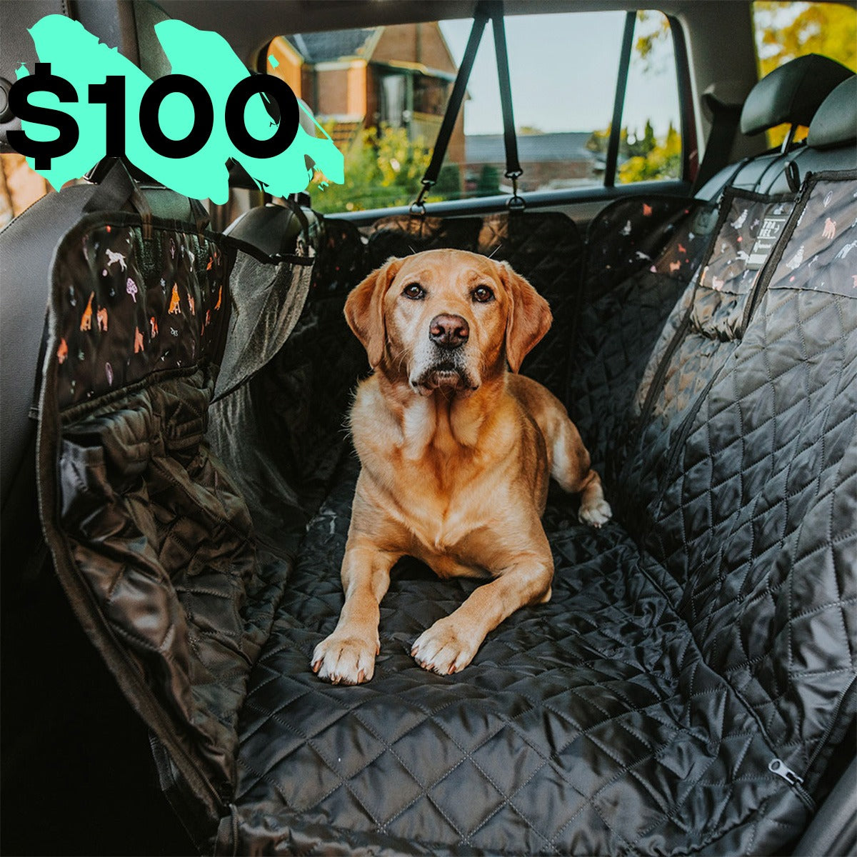 Back Seat Cover with Travel Bag