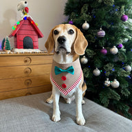 Gingerbread Bandana