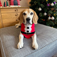 Santa Bandana