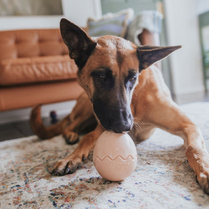 Beige Egg Rubber Food Enrichment Toy