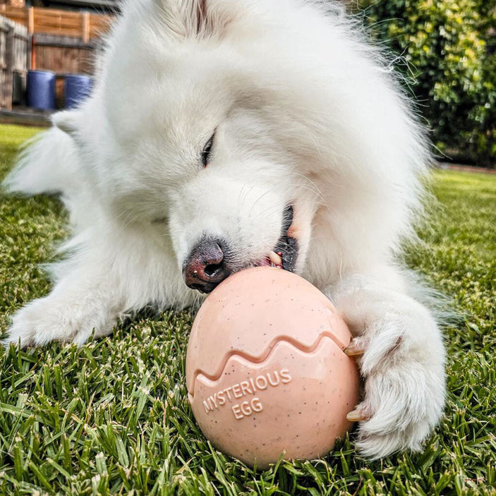 Beige Egg Rubber Food Enrichment Toy